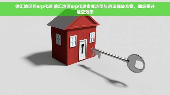徐汇地区的erp代理 徐汇地区erp代理专业选型与咨询解决方案，助您提升运营效率