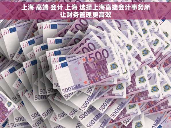 上海 高端 会计 上海 选择上海高端会计事务所让财务管理更高效