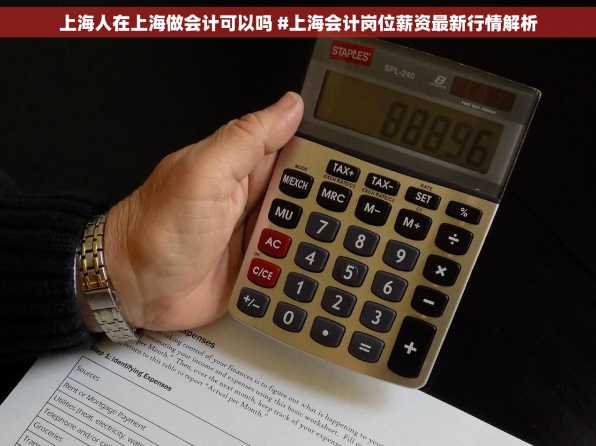 上海人在上海做会计可以吗 #上海会计岗位薪资最新行情解析