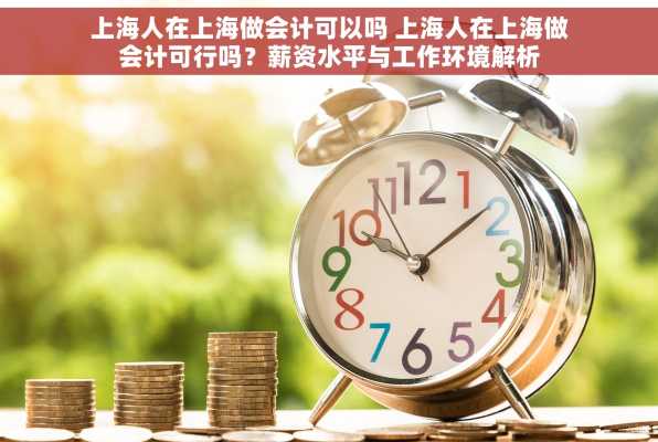 上海人在上海做会计可以吗 上海人在上海做会计可行吗？薪资水平与工作环境解析