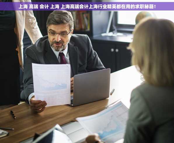 上海 高端 会计 上海 上海高端会计上海行业精英都在用的求职秘籍！