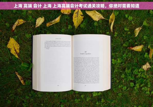 上海 高端 会计 上海 上海高端会计考试通关攻略，你绝对需要知道