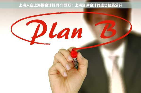 上海人在上海做会计好吗 年薪万！上海资深会计的成功秘笈公开