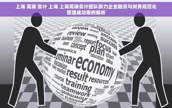上海 高端 会计 上海 上海高端会计团队助力企业融资与财务规范化管理成功案例解析