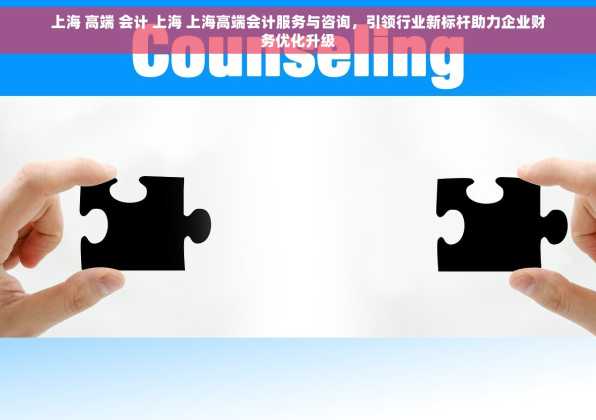上海 高端 会计 上海 上海高端会计服务与咨询，引领行业新标杆助力企业财务优化升级