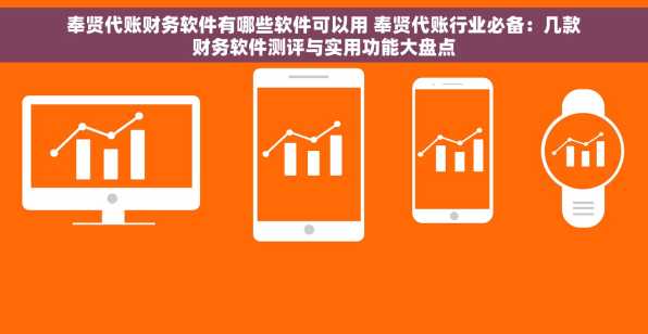 奉贤代账财务软件有哪些软件可以用 奉贤代账行业必备：几款财务软件测评与实用功能大盘点
