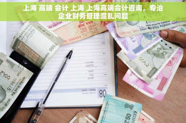上海 高端 会计 上海 上海高端会计咨询，专治企业财务管理混乱问题