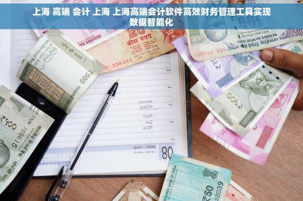 上海 高端 会计 上海 上海高端会计软件高效财务管理工具实现数据智能化