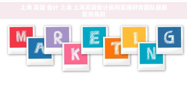 上海 高端 会计 上海 上海高端会计机构高端财务团队最新服务案例