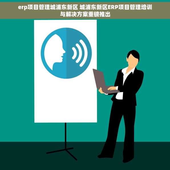 erp项目管理城浦东新区 城浦东新区ERP项目管理培训与解决方案重磅推出