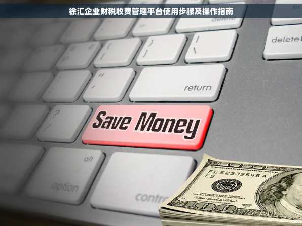 徐汇企业财税收费管理平台使用步骤及操作指南