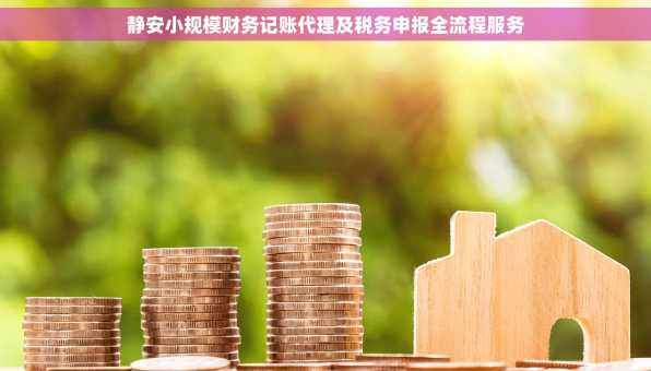 静安小规模财务记账代理及税务申报全流程服务