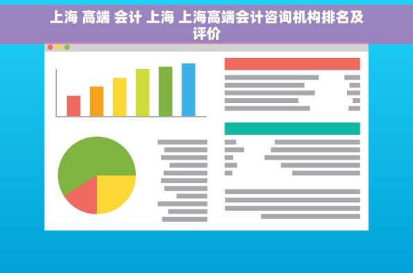 上海 高端 会计 上海 上海高端会计咨询机构排名及评价