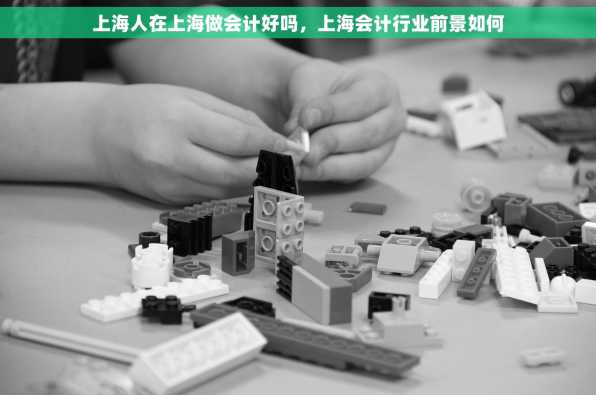 上海人在上海做会计好吗，上海会计行业前景如何