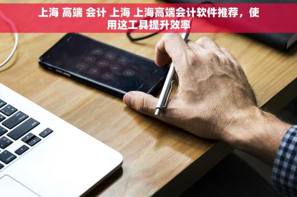 上海 高端 会计 上海 上海高端会计软件推荐，使用这工具提升效率