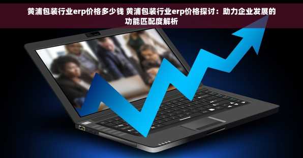 黄浦包装行业erp价格多少钱 黄浦包装行业erp价格探讨：助力企业发展的功能匹配度解析