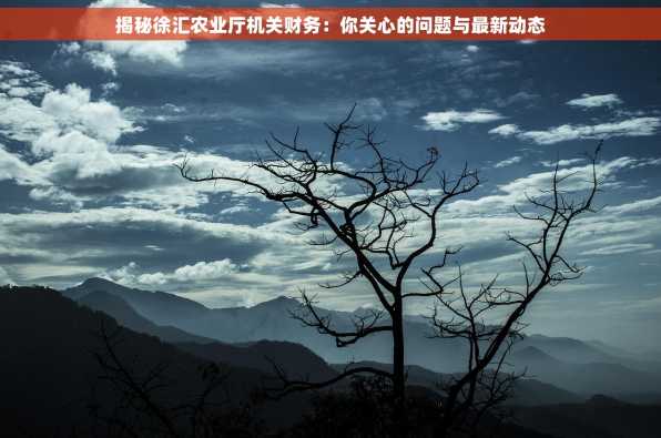 揭秘徐汇农业厅机关财务：你关心的问题与最新动态