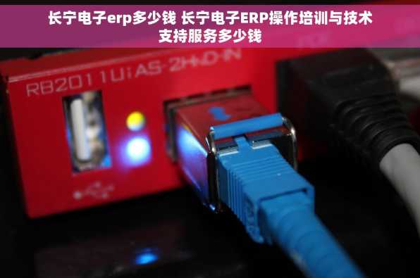 长宁电子erp多少钱 长宁电子ERP操作培训与技术支持服务多少钱