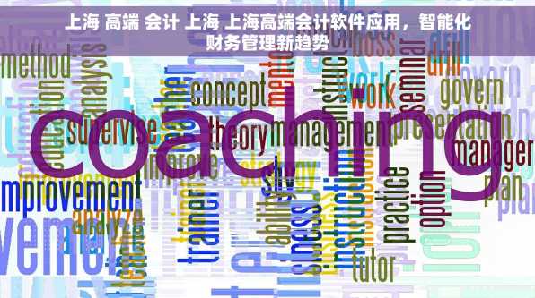 上海 高端 会计 上海 上海高端会计软件应用，智能化财务管理新趋势