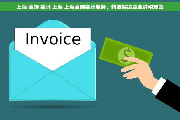 上海 高端 会计 上海 上海高端会计服务，精准解决企业财税难题