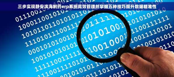 三步实现静安滨海制药erp系统高效管理并掌握五种技巧提升数据精准性