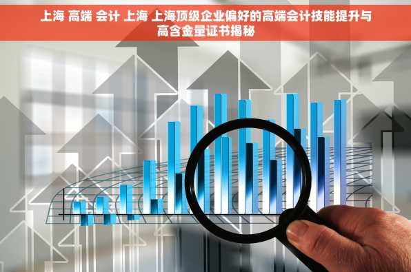 上海 高端 会计 上海 上海顶级企业偏好的高端会计技能提升与高含金量证书揭秘