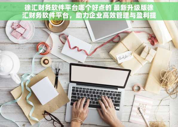 徐汇财务软件平台哪个好点的 最新升级版徐汇财务软件平台，助力企业高效管理与盈利提升