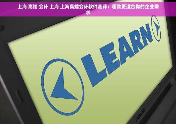 上海 高端 会计 上海 上海高端会计软件测评：哪款更适合你的企业需求