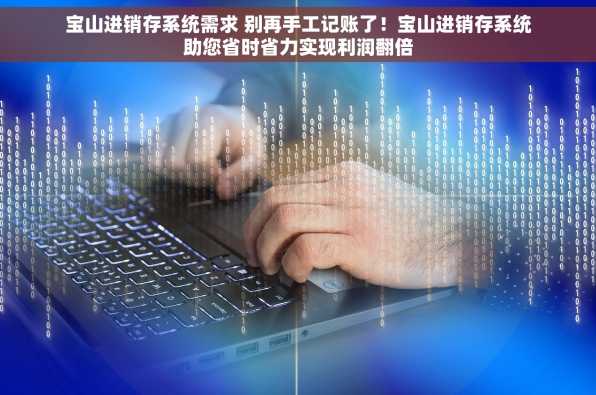 宝山进销存系统需求 别再手工记账了！宝山进销存系统助您省时省力实现利润翻倍