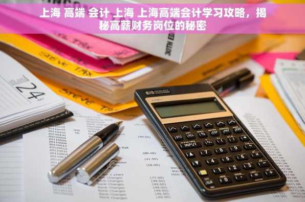 上海 高端 会计 上海 上海高端会计学习攻略，揭秘高薪财务岗位的秘密