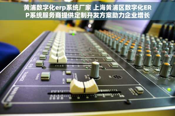 黄浦数字化erp系统厂家 上海黄浦区数字化ERP系统服务商提供定制开发方案助力企业增长