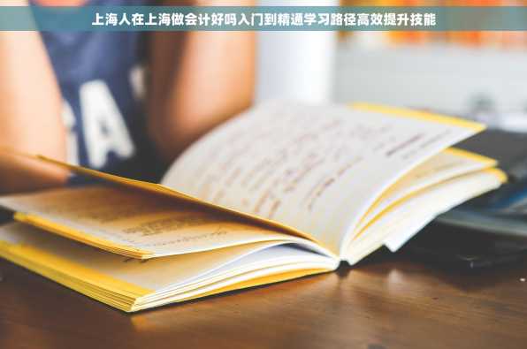 上海人在上海做会计好吗入门到精通学习路径高效提升技能