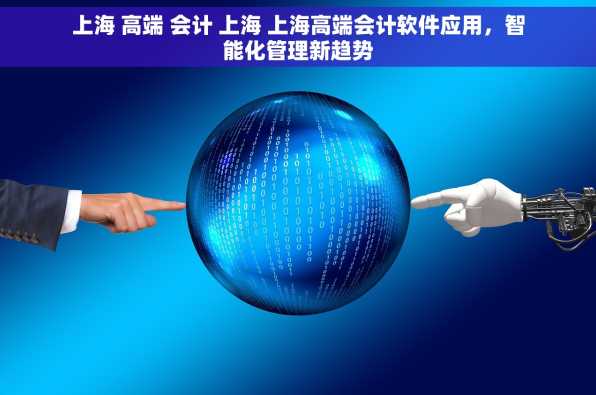 上海 高端 会计 上海 上海高端会计软件应用，智能化管理新趋势