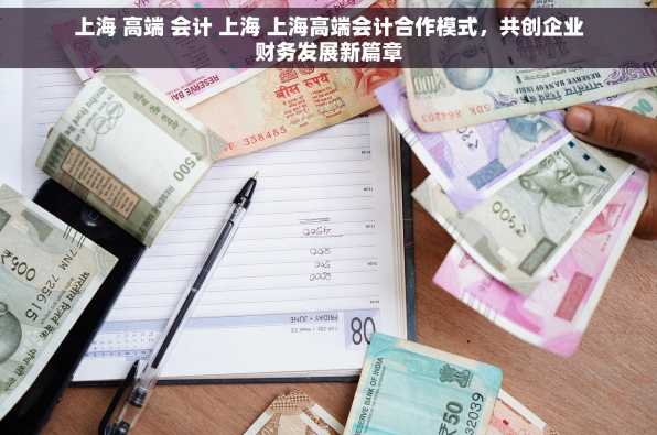上海 高端 会计 上海 上海高端会计合作模式，共创企业财务发展新篇章