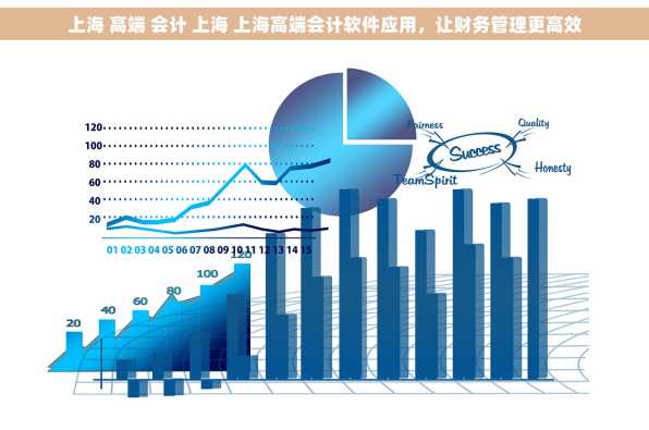 上海 高端 会计 上海 上海高端会计软件应用，让财务管理更高效