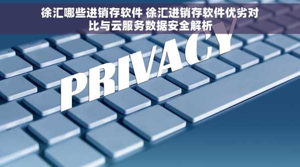 徐汇哪些进销存软件 徐汇进销存软件优劣对比与云服务数据安全解析