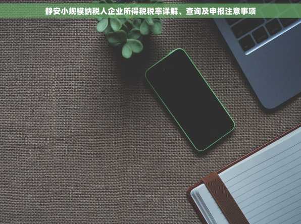 静安小规模纳税人企业所得税税率详解、查询及申报注意事项