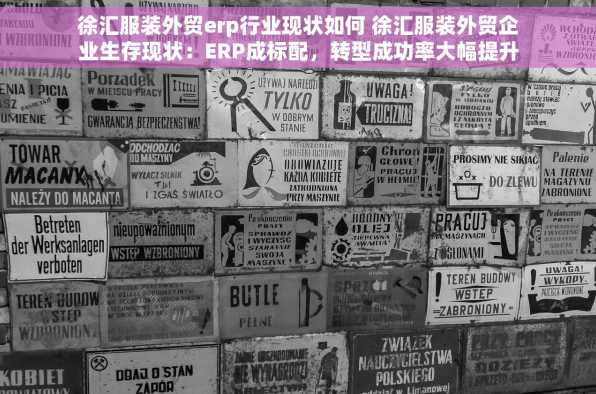 徐汇服装外贸erp行业现状如何 徐汇服装外贸企业生存现状：ERP成标配，转型成功率大幅提升