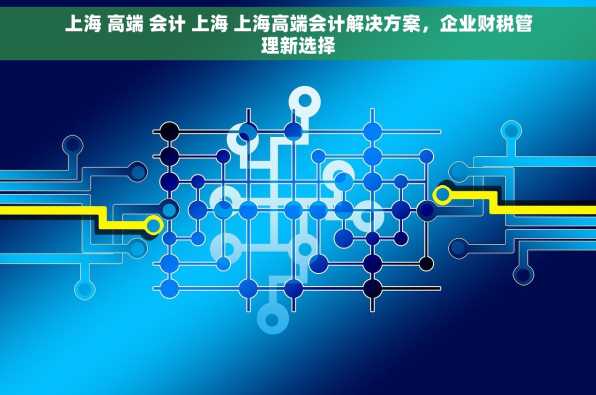 上海 高端 会计 上海 上海高端会计解决方案，企业财税管理新选择