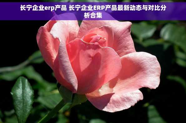 长宁企业erp产品 长宁企业ERP产品最新动态与对比分析合集
