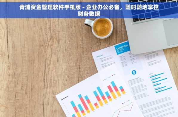青浦资金管理软件手机版 - 企业办公必备，随时随地掌控财务数据