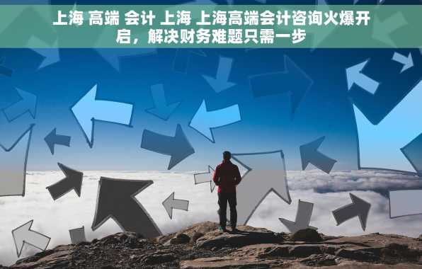 上海 高端 会计 上海 上海高端会计咨询火爆开启，解决财务难题只需一步