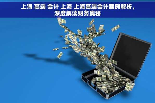 上海 高端 会计 上海 上海高端会计案例解析，深度解读财务奥秘