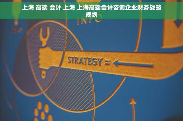 上海 高端 会计 上海 上海高端会计咨询企业财务战略规划