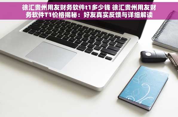 徐汇贵州用友财务软件t1多少钱 徐汇贵州用友财务软件T1价格揭秘：好友真实反馈与详细解读