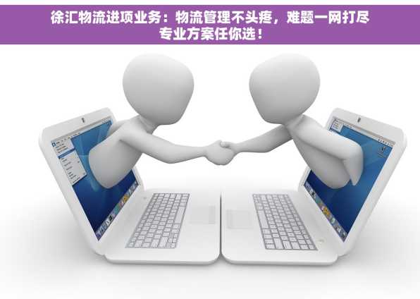 徐汇物流进项业务：物流管理不头疼，难题一网打尽专业方案任你选！