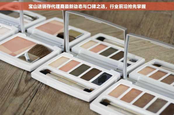 宝山进销存代理商最新动态与口碑之选，行业前沿抢先掌握