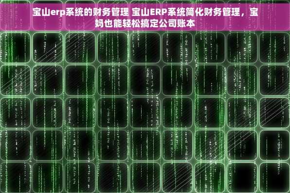 宝山erp系统的财务管理 宝山ERP系统简化财务管理，宝妈也能轻松搞定公司账本