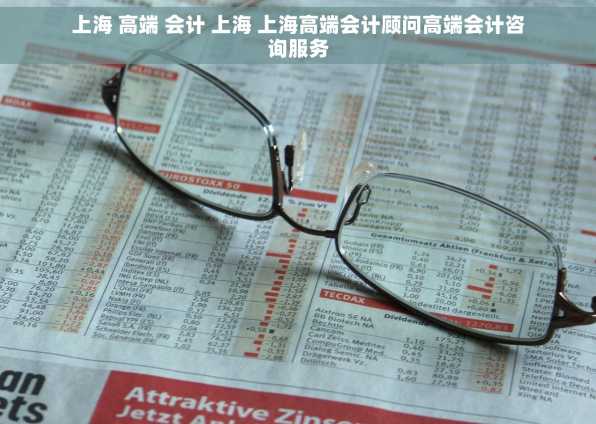上海 高端 会计 上海 上海高端会计顾问高端会计咨询服务