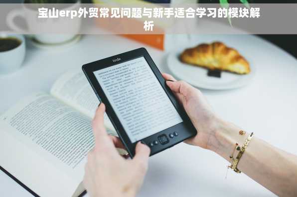 宝山erp外贸常见问题与新手适合学习的模块解析